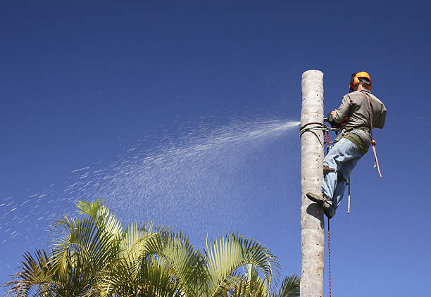 Best Lawn Irrigation Installation and Maintenance  in Fort Hall, ID